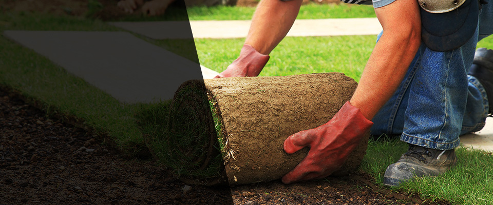 Joliet Landscapers